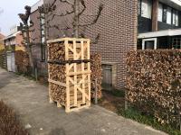 Gut verpackt und schnell geliefert 